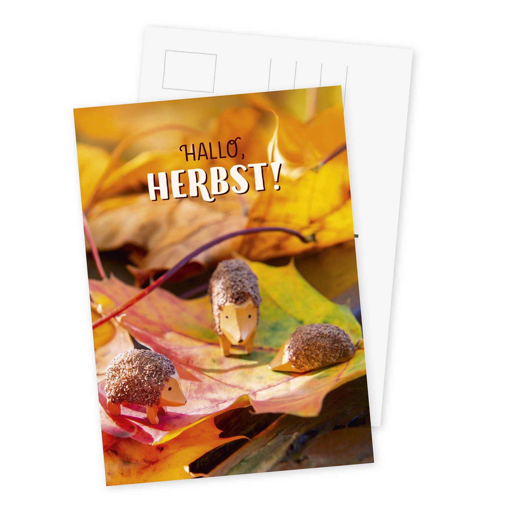 Postkarte "Hallo Herbst" im Dregeno Online Shop günstig kaufen