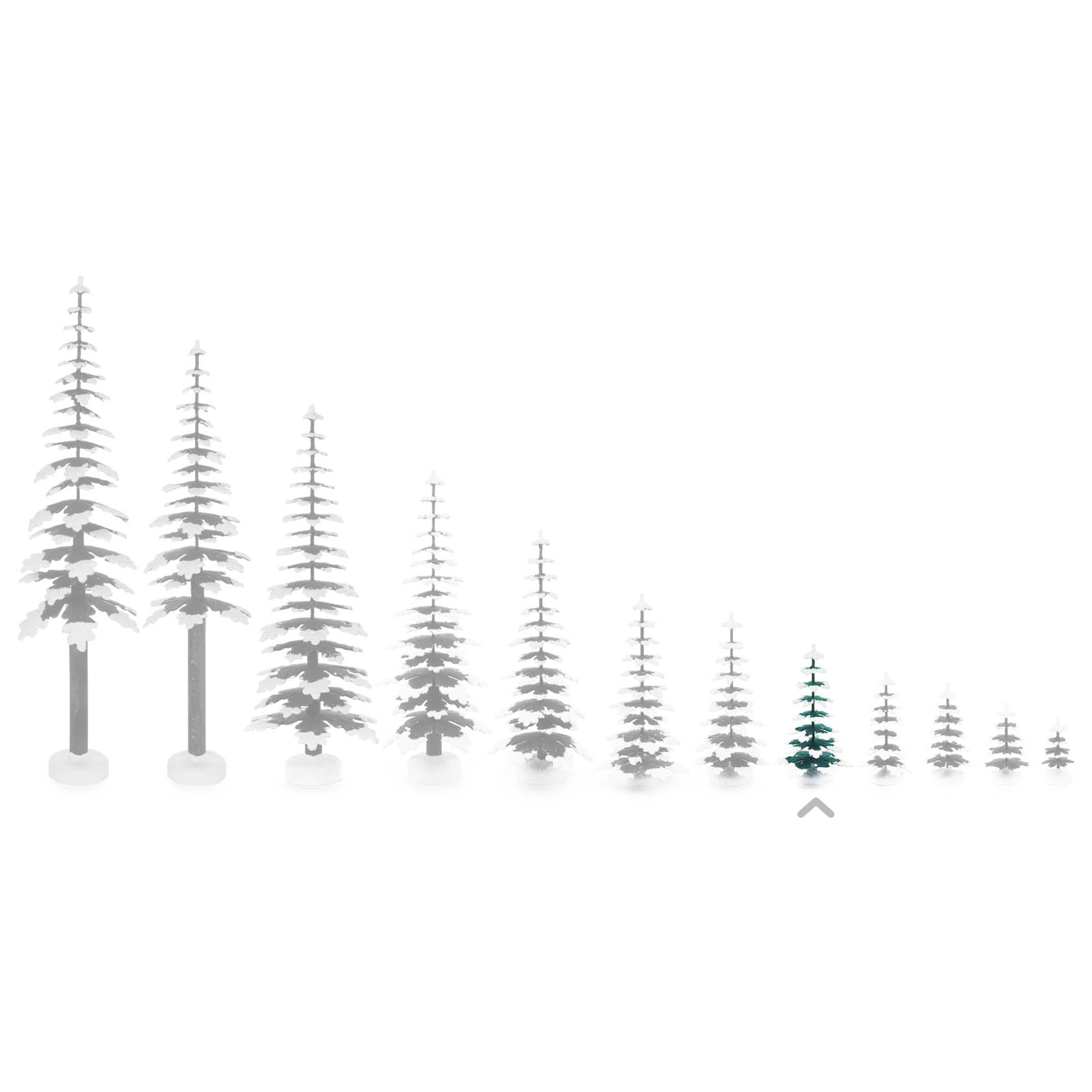 A collection of white spruce trees in varying sizes, arranged from tallest to smallest. The fifth tree from the right is highlighted in green and is 11cm tall.