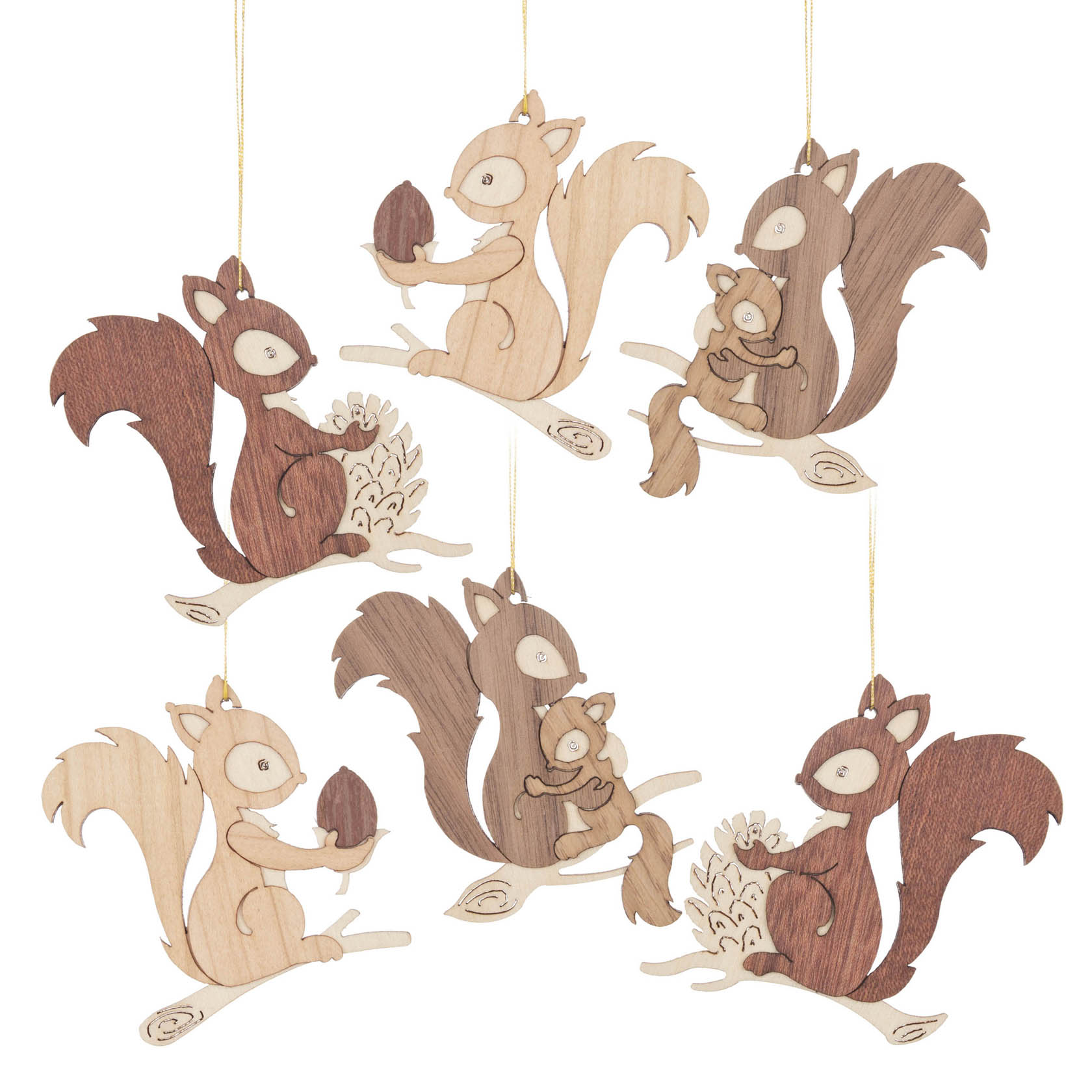 Behang Eichhörnchen (6) im Dregeno Online Shop günstig kaufen