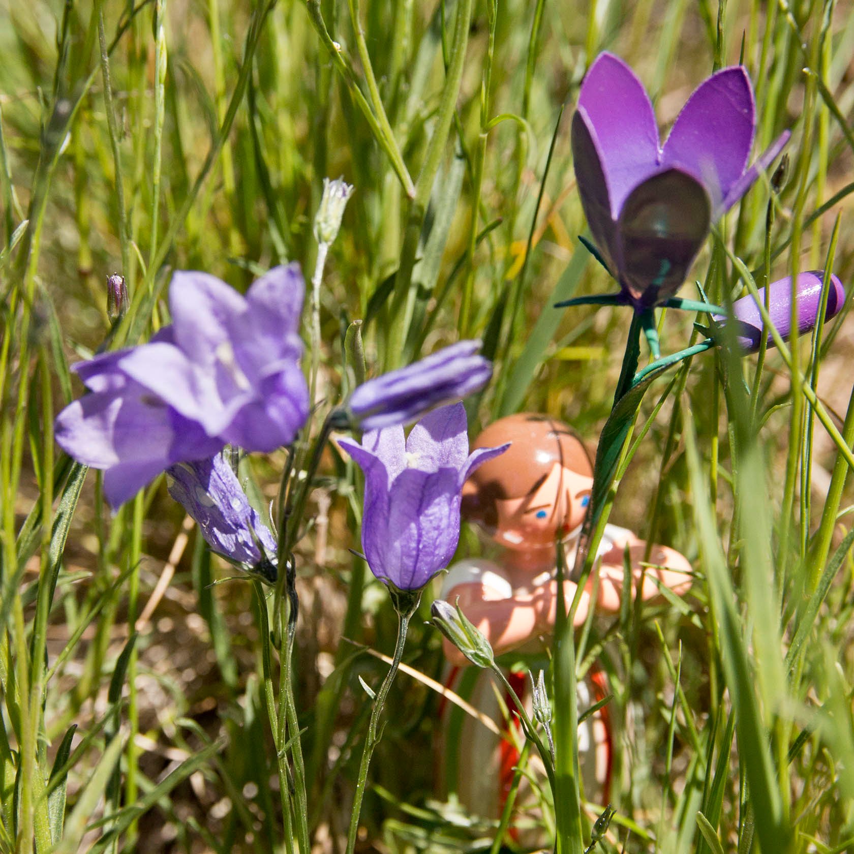 Eine kleine Holzfigur eines Mädchens steht zwischen grünen Grashalmen und lila Glockenblumen. Das Mädchen hält die Blumen, die den Vordergrund dominieren.