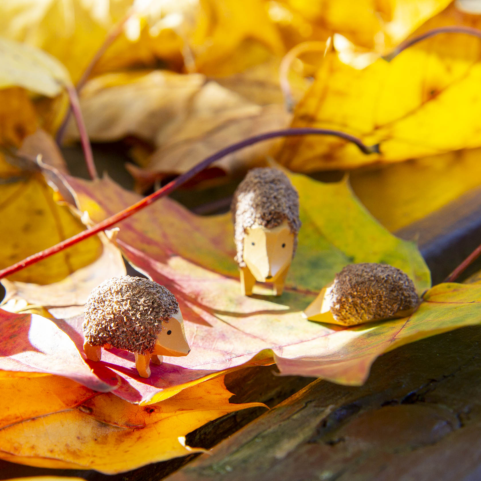 Three small toy hedgehogs made of natural materials, resembling real hedgehogs, are placed on colorful autumn leaves in sunlight.
