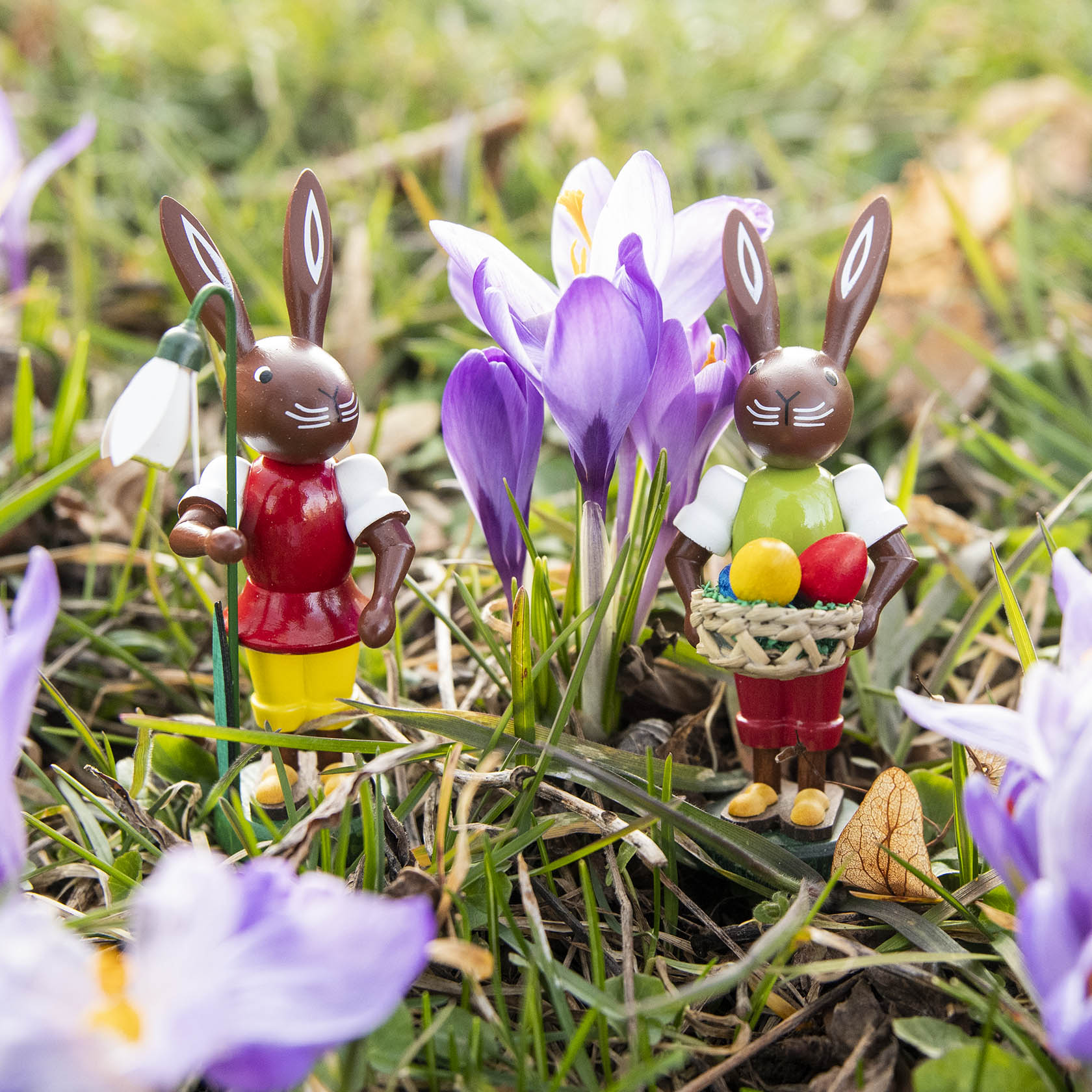 Hase mit Schneeglöckchen