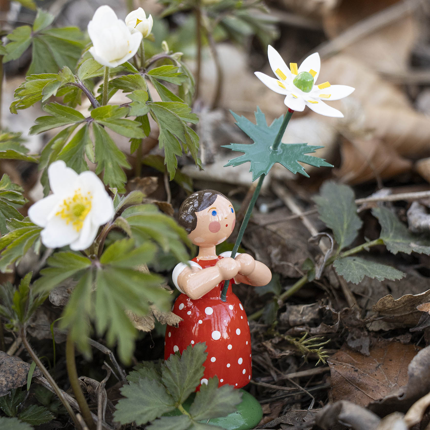 A wooden flower girl figurine with a red polka-dot dress holds a white wood anemone among green leaves and blooming flowers.