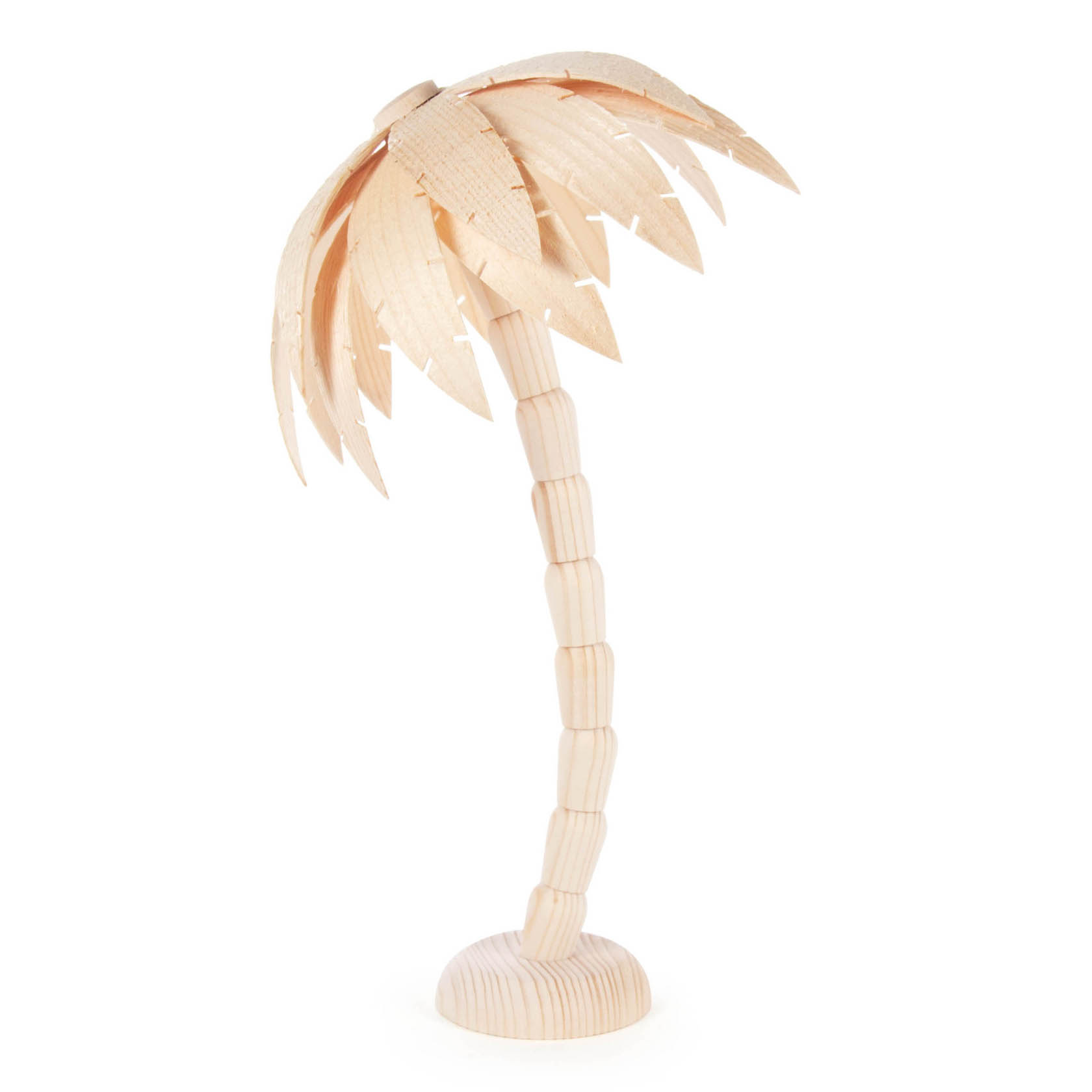 Palme natur, 25cm im Dregeno Online Shop günstig kaufen
