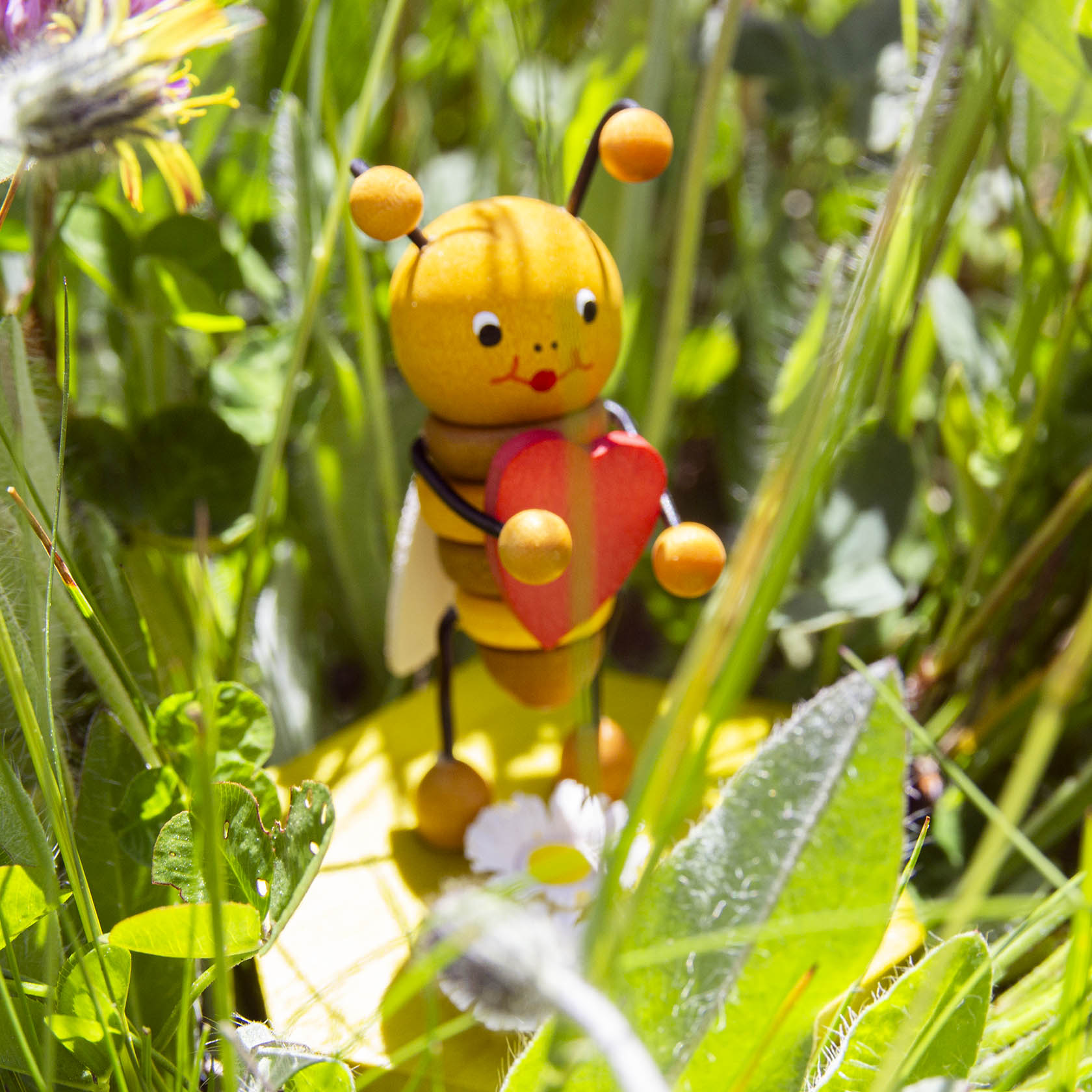 bee with heart