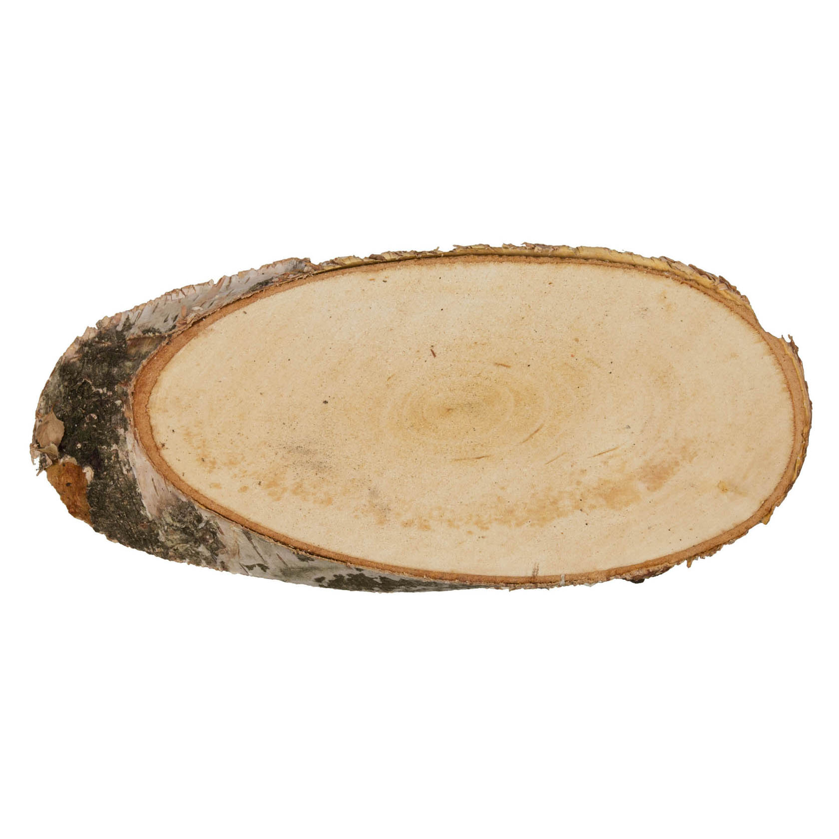Ovale Birkenscheibe mit einem Durchmesser von etwa 21-23 cm und einer Höhe von 2 cm, glatt geschliffen und mit Rinde an der Seite. im Dregeno Online Shop günstig kaufen