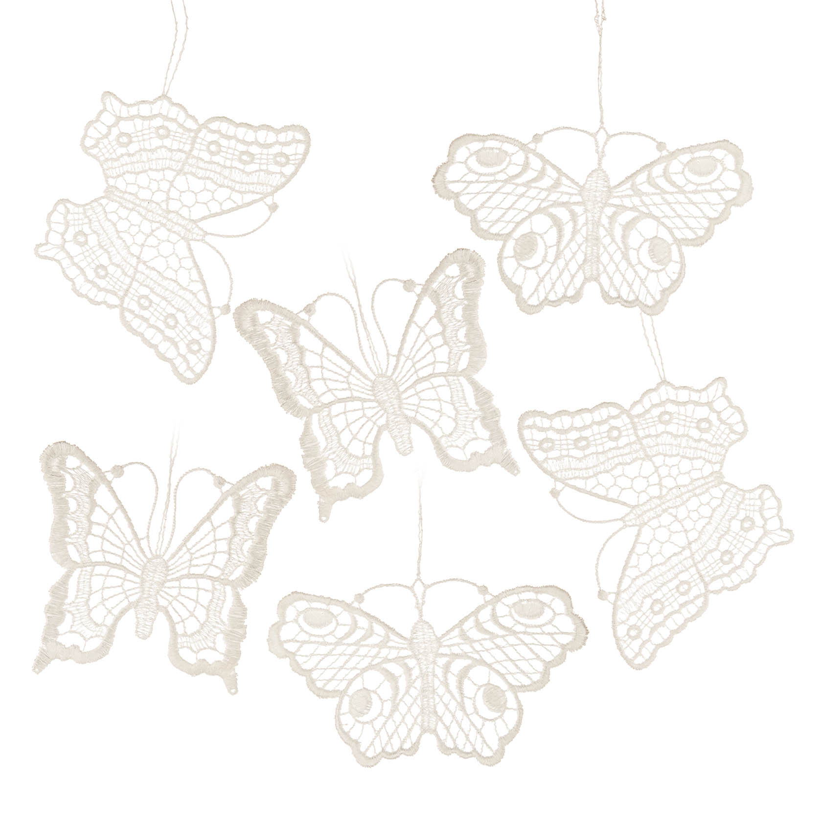 Behang Schmetterlinge 6-teilig 2x65571 2x65572 2x65573 Plauener Spitze im Dregeno Online Shop günstig kaufen