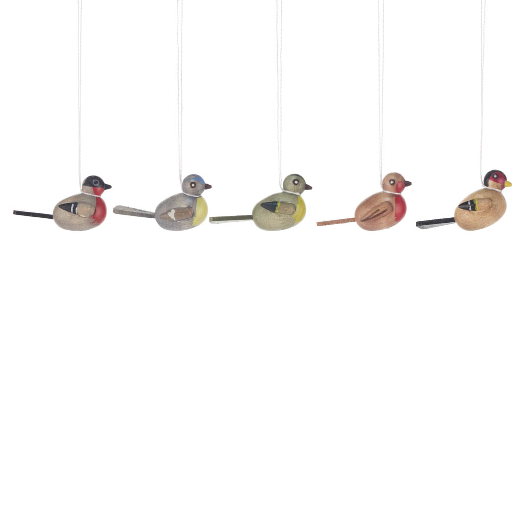 Behang Vögel (5)   im Dregeno Online Shop günstig kaufen