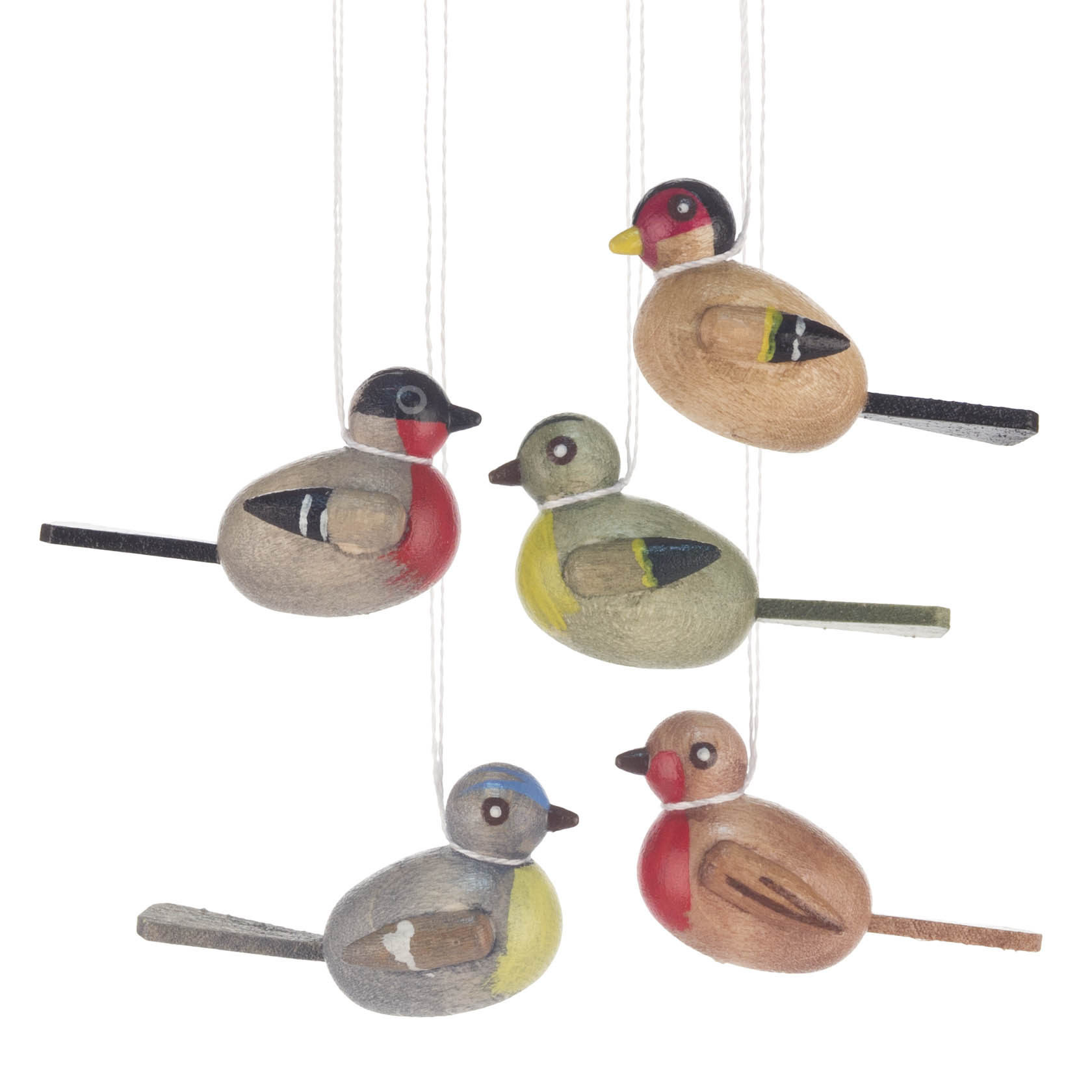 Behang Vögel (5)   im Dregeno Online Shop günstig kaufen