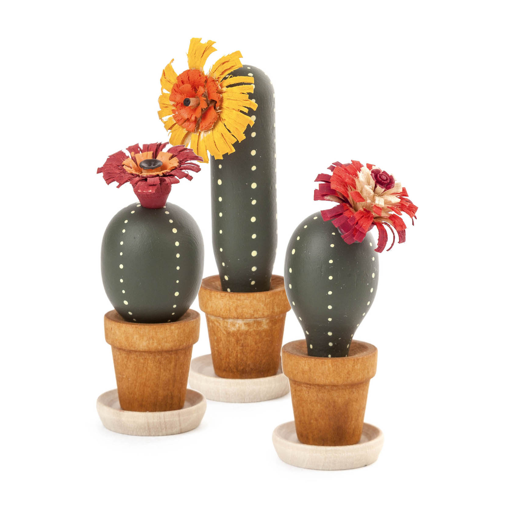cactus (3) im Dregeno Online Shop günstig kaufen