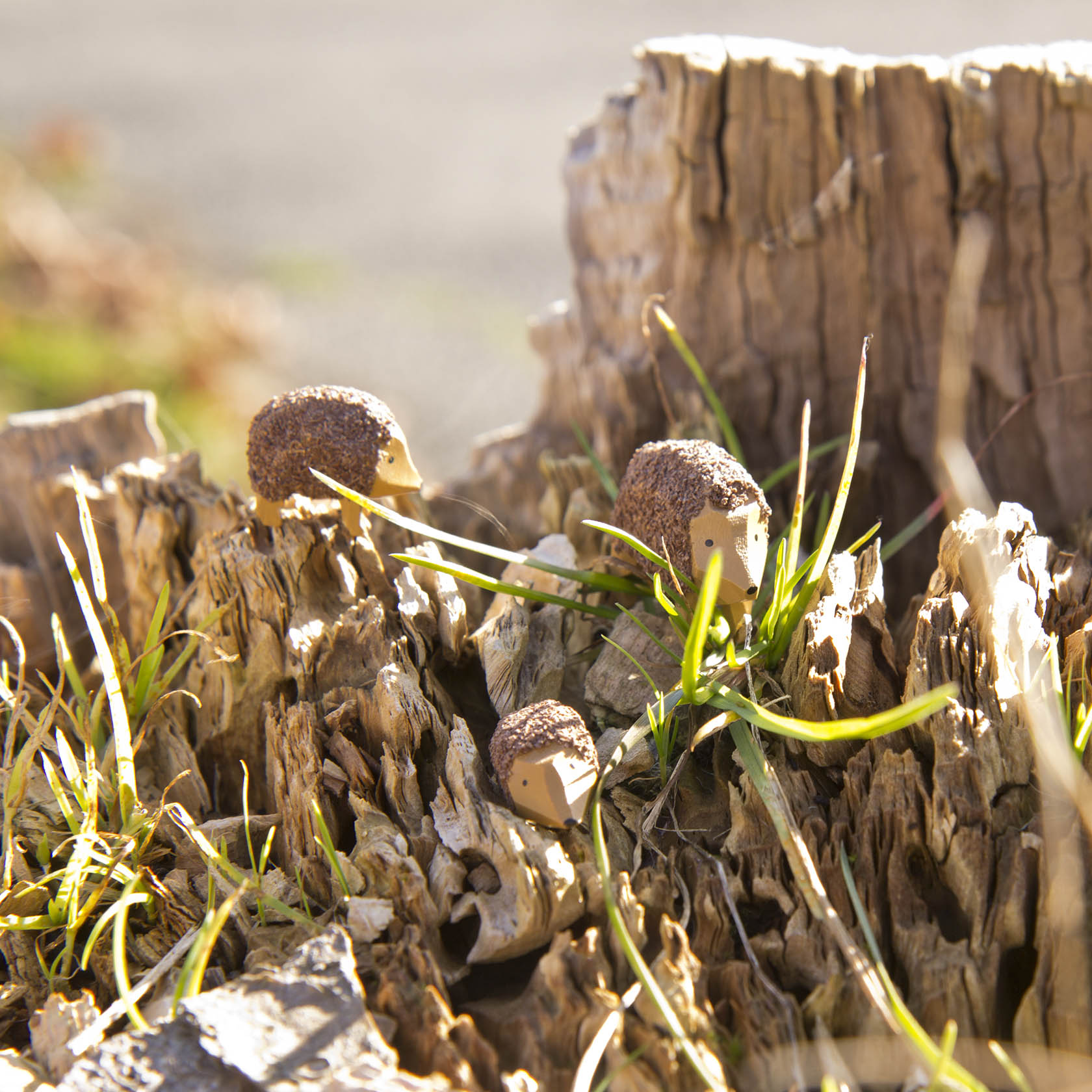 Three small, handcrafted hedgehogs made of natural materials are placed on a decaying tree stump, surrounded by green grass blades.
