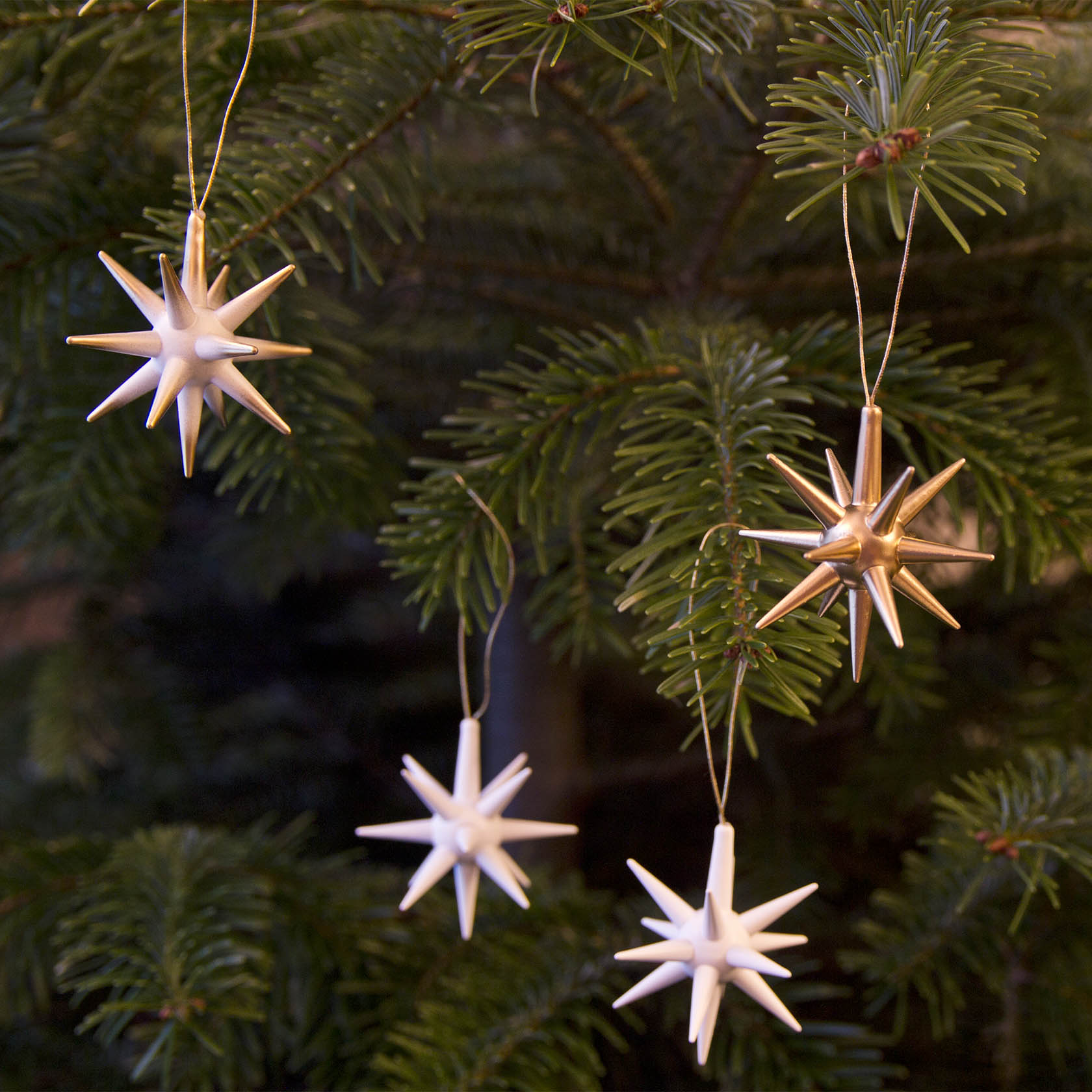 Four gold star-shaped ornaments hanging on a Christmas tree branch.