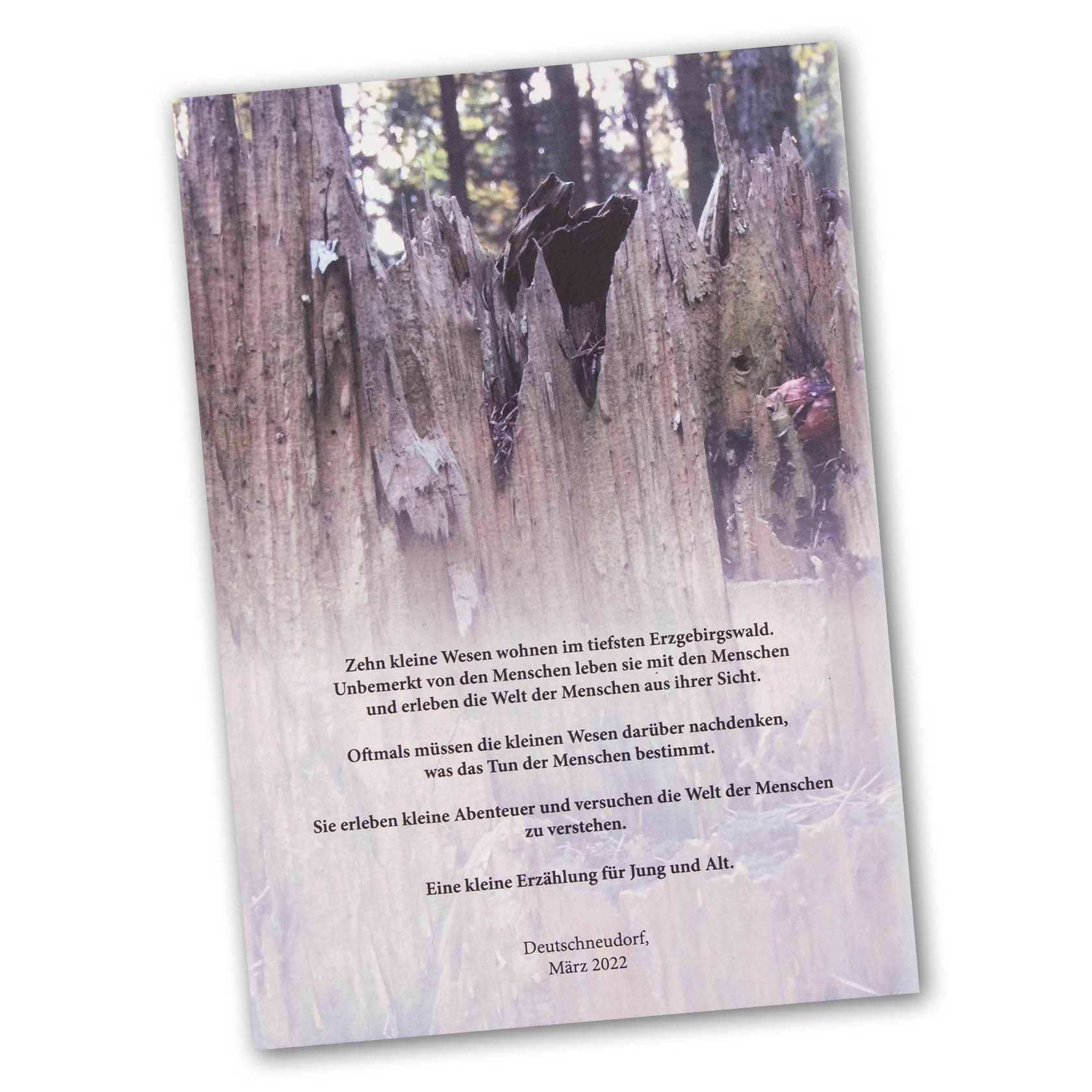 Cover of the book 'Das Geheimnis der vergessenen Uhr - Herbst' by B. Franke, featuring a blurred forest background with a short poetic text about small beings living unnoticed in deep woods.