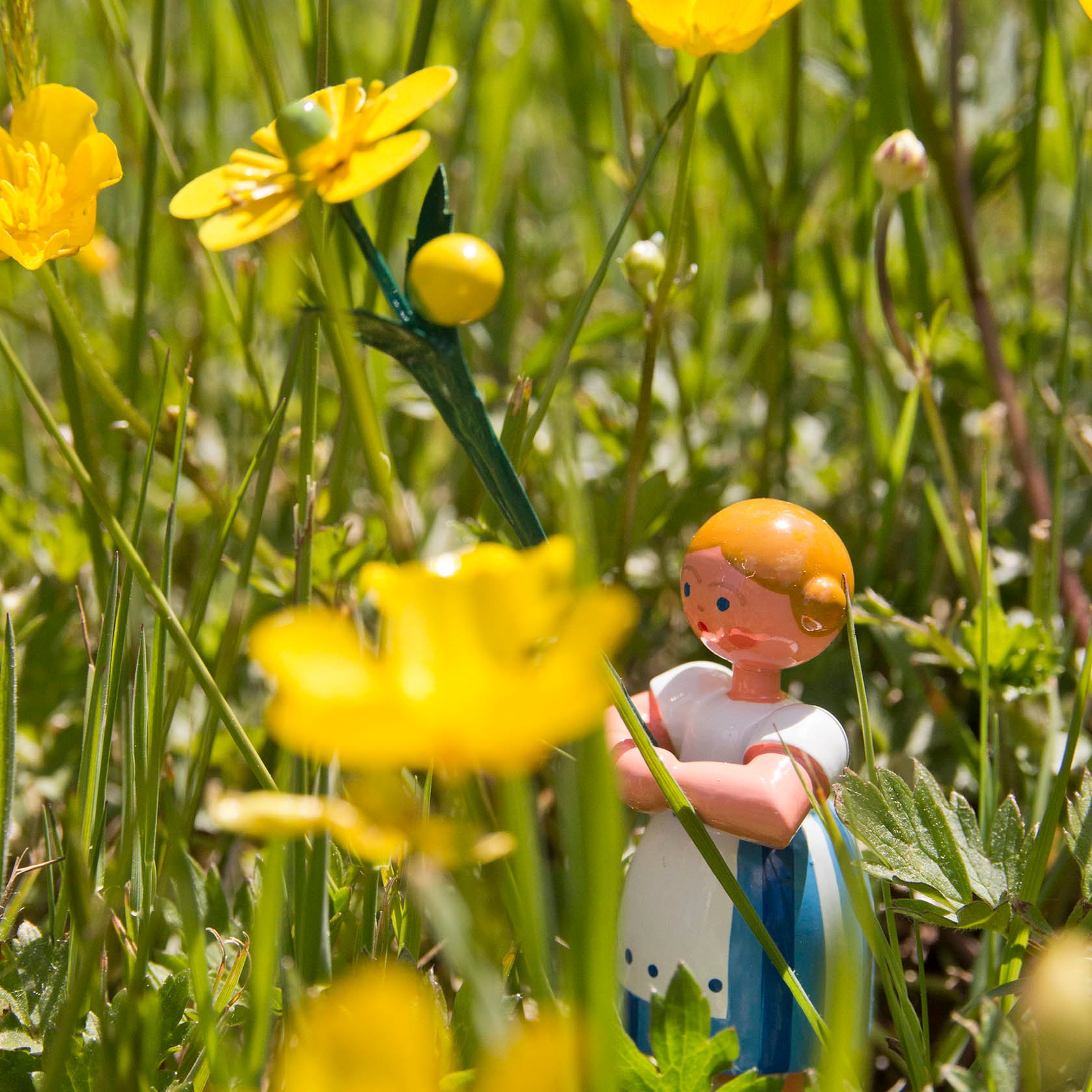 A small figurine of a girl with red cheeks and a white dress stands in grass, holding a tall buttercup flower.
