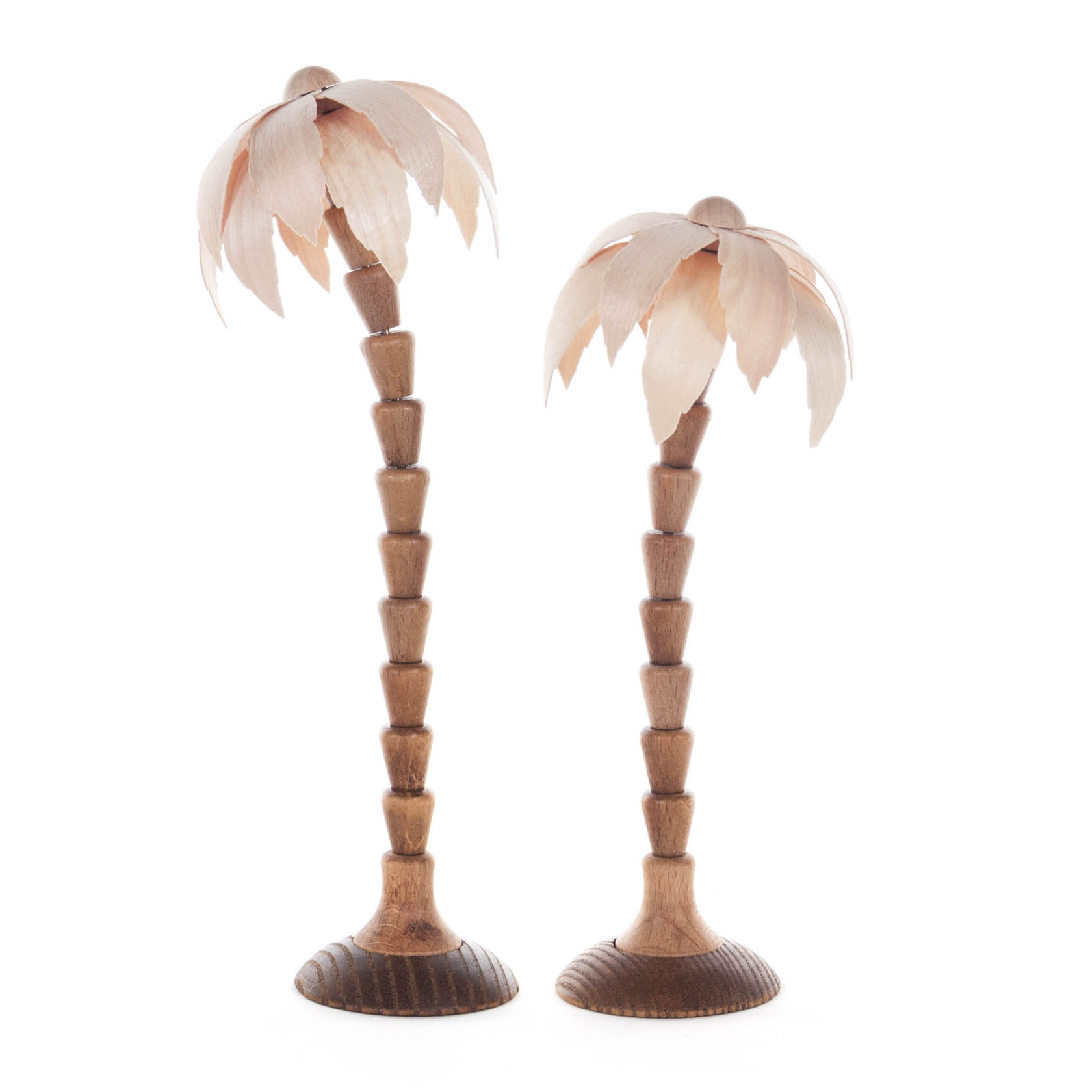 Palmen natur (2) im Dregeno Online Shop günstig kaufen