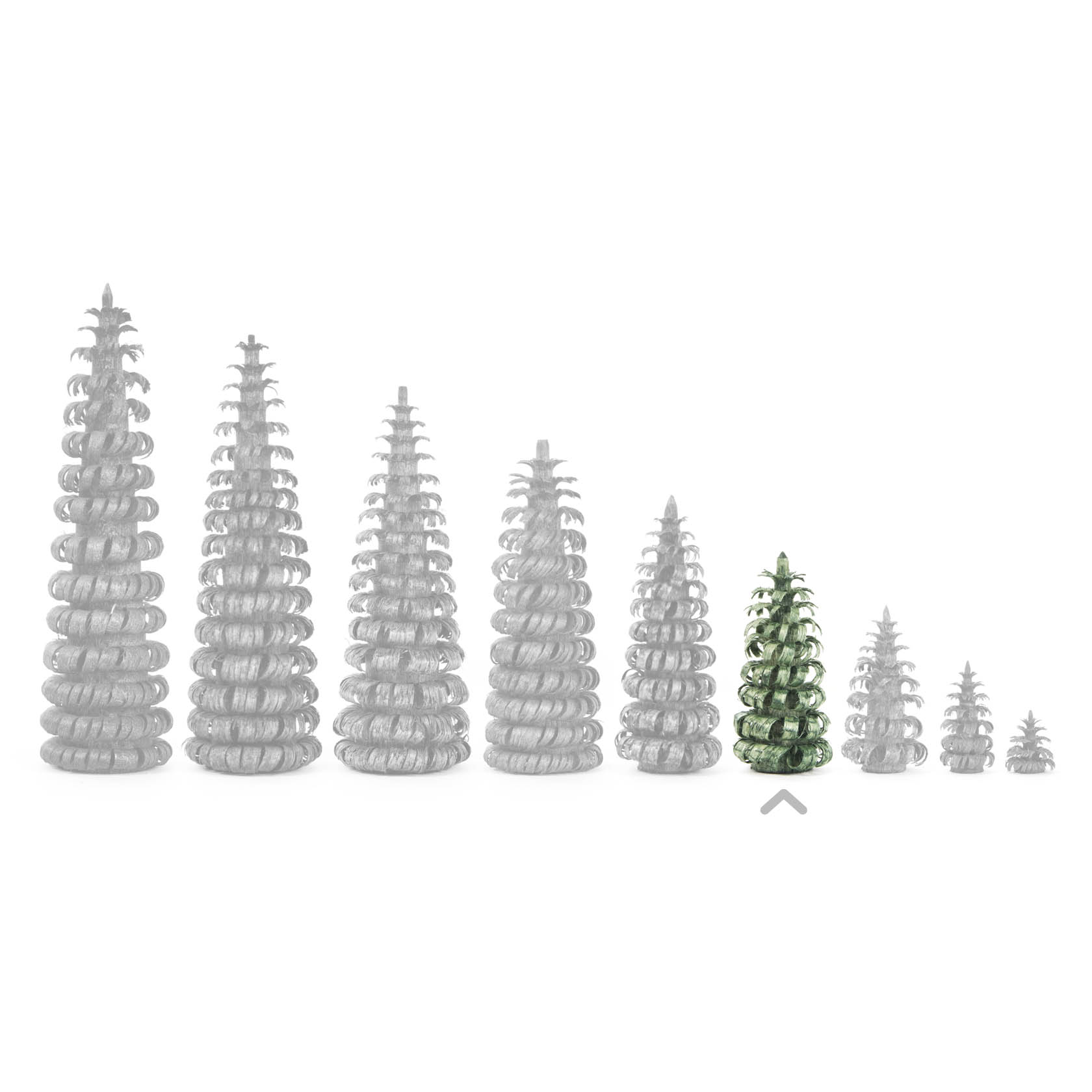 A collection of spiral-shaped trees in varying sizes, with the fourth tree from the right being a small, green 4cm tall tree.
