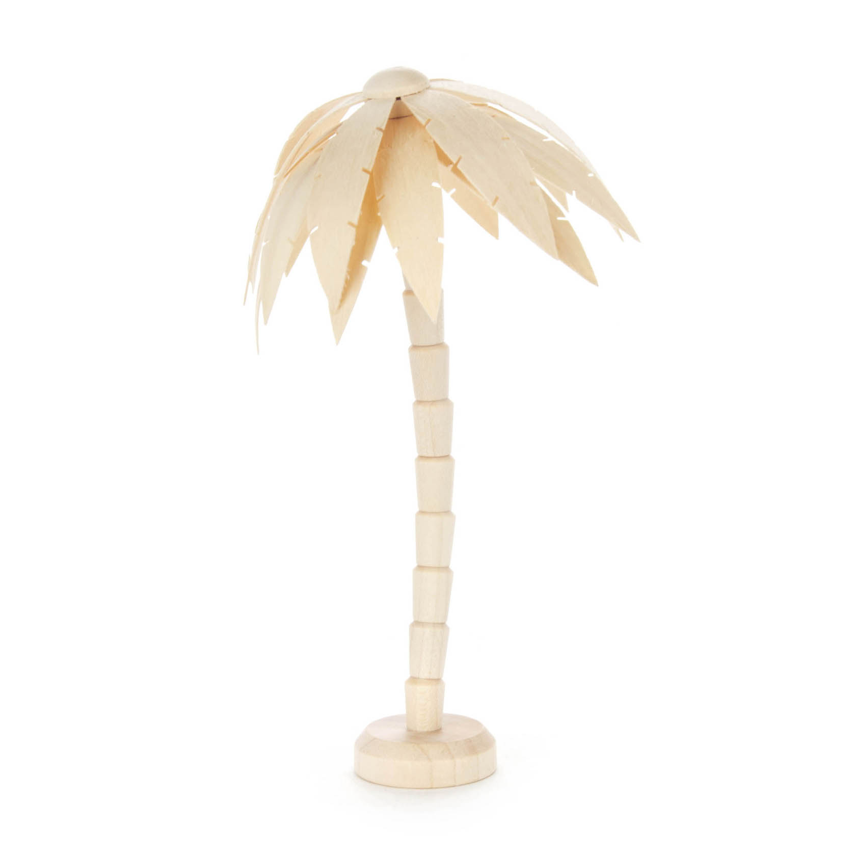 Palme natur, 16cm im Dregeno Online Shop günstig kaufen
