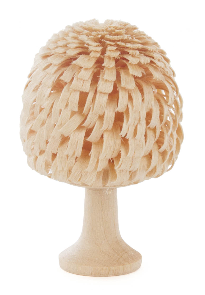 Laubbaum natur 5cm  